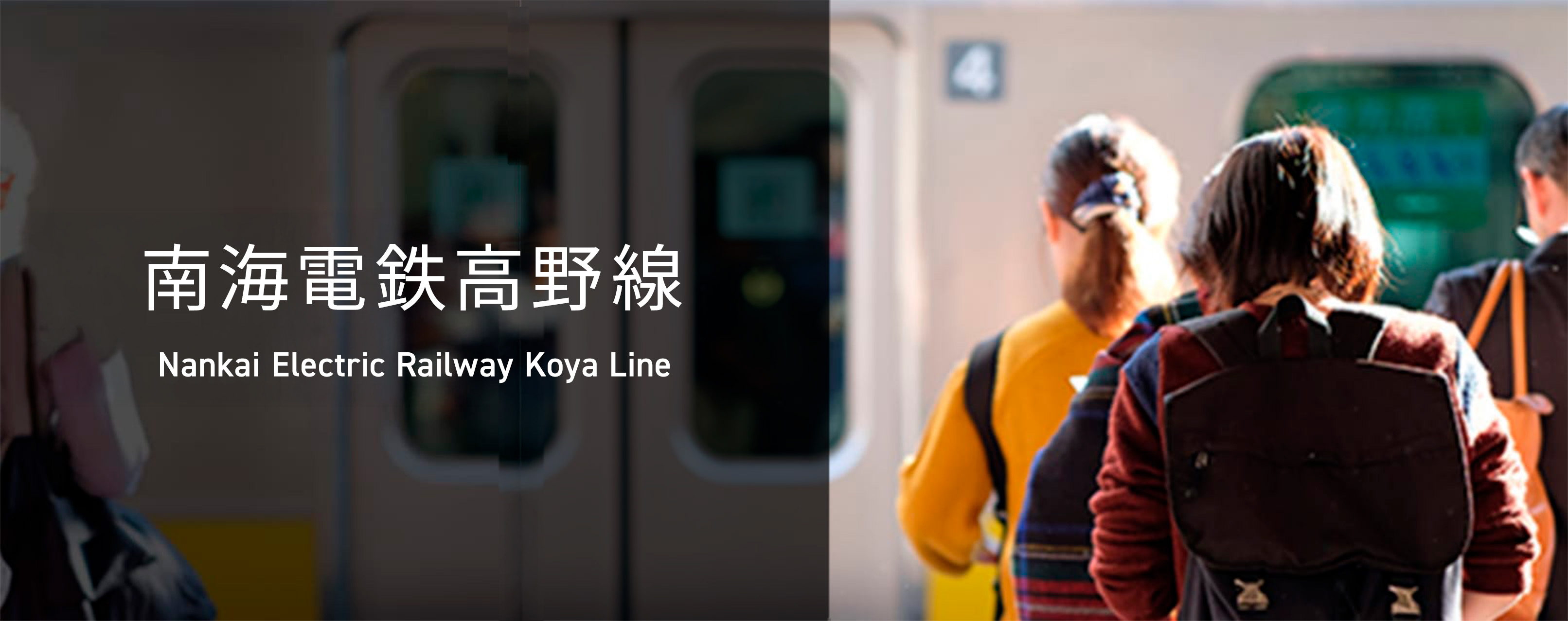 Rosen nankai koya