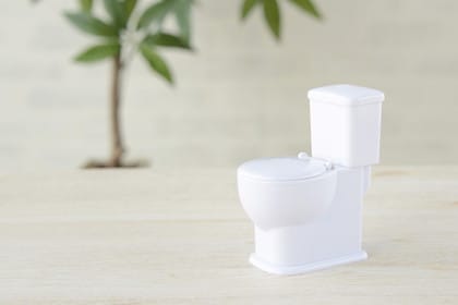 マイホームのトイレの位置や広さはどうする？ポイントやコツを紹介