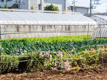 田園住居地域とはどこの地域？指定状況や用途制限について解説