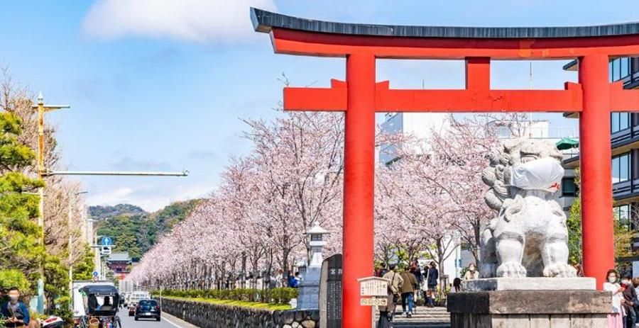 【住友林業の戸建分譲】フォレストガーデン鎌倉