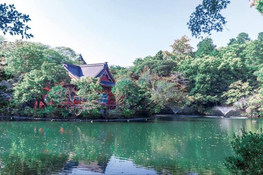 コモンステージ吉祥寺【宅地】
