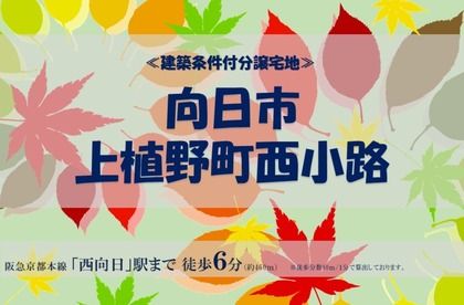 M 09416155 d08c 4ebf 8339 015aff626b97