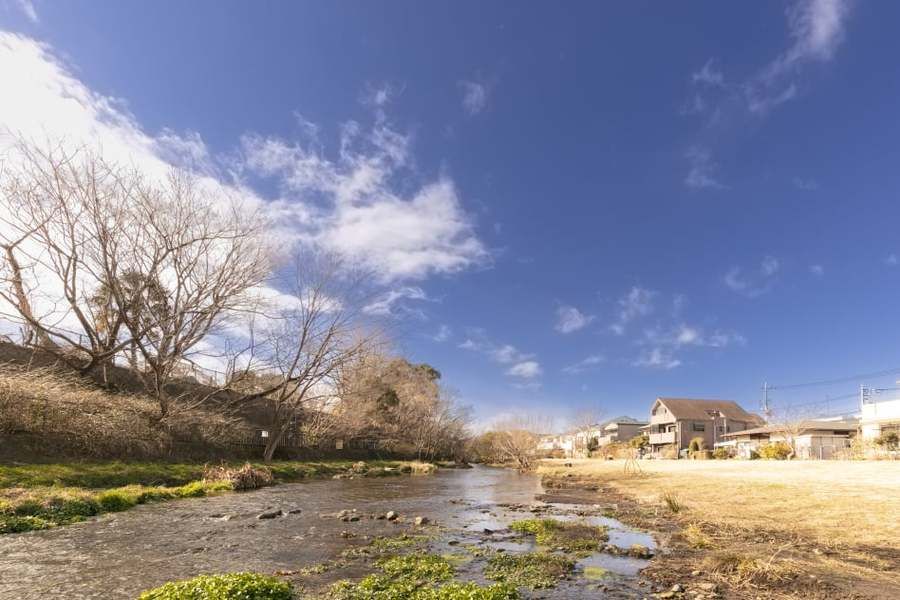 コモンステージ東久留米本町