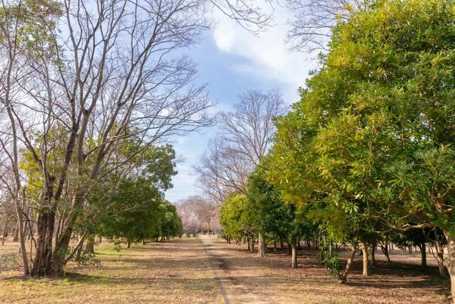 コモンステージ武蔵小金井【宅地】