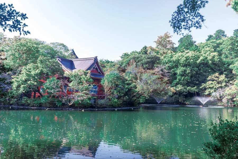 コモンステージ吉祥寺【宅地】